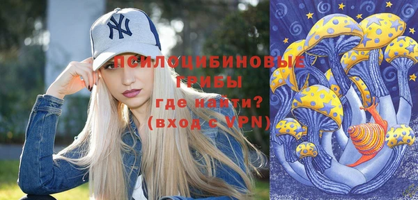 спайс Богданович