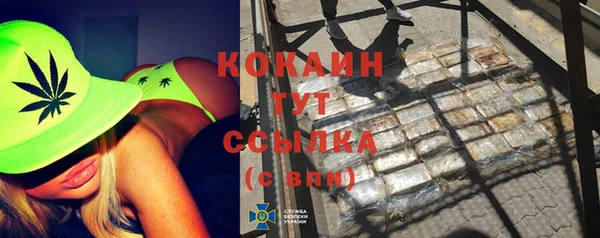 спайс Богданович