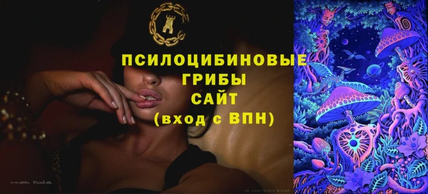 COCAINE Богородск