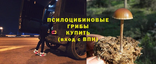 гидра Белоозёрский