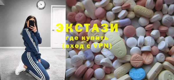 СК Ельня