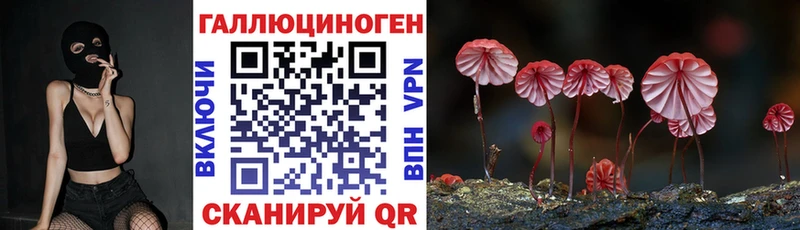 KRAKEN зеркало  Ермолино  Псилоцибиновые грибы мухоморы 